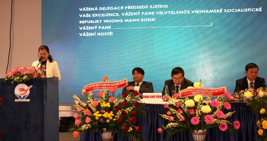 Union of Vietnamese People Associations in Europe makes it debut - ảnh 1